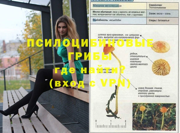 шишки Лиски