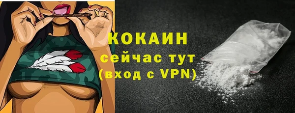 шишки Лиски