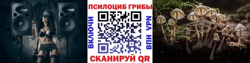 купить наркоту  Яранск  Псилоцибиновые грибы ЛСД 